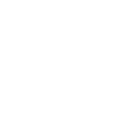 Banking and Loan Syndication