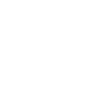 Due Diligence